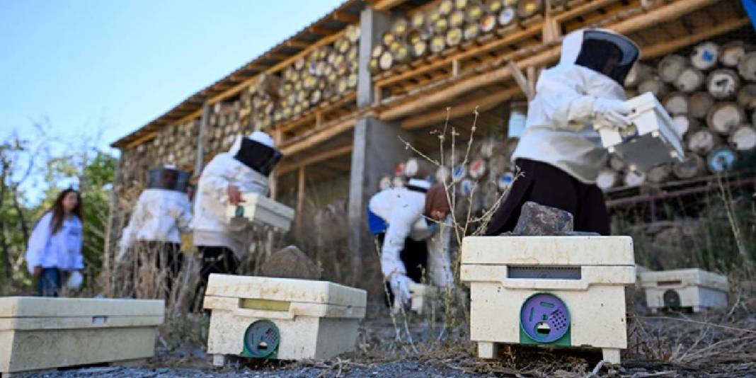 Destekle başladılar üretimi artırdılar! “Talebe yetişemiyoruz”: Hedef sayıyı 300’e çıkarmak 4
